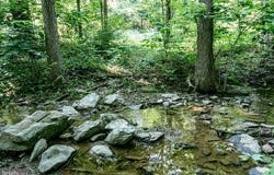8748 NORTH VALLEY PIKE, ROCKINGHAM, VA 22802