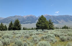 Tbd Dutchman Trail, Cameron, MT 59720