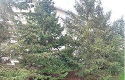 1595 Fox Hunt Way, Victoria, MN 55386