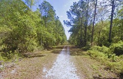 116 Terri Ave, Georgetown, FL 32139