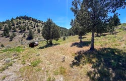 Luce Creek Rd, JohnDay, OR 97845