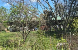 24215 Sheets Mccoy Road, New Plymouth, OH 45654