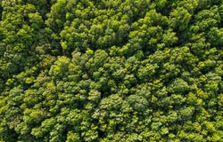 000 West Point Road-10.45 acres, Lagrange, GA 30240