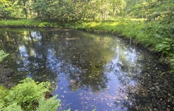 10 acres E Free Soil Road, Free Soil, MI 49411