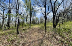 14240 Truelove Road, West Fork, AR 72774