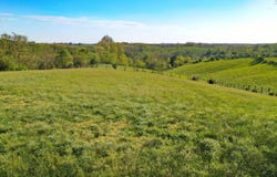 1 Gillispie Road, Paris, KY 40361