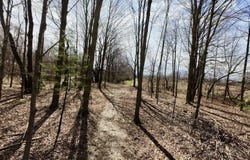V/L Hamilton Rd, Battle Creek, MI 49017