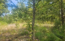 TBD Hwy 818, Clarksville, AR 72830