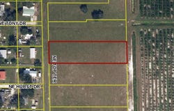 NE EDWARDS DRIVE, ARCADIA, FL 34266