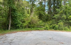 1675 McCollum Road, Conyers, GA 30094