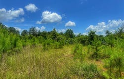 Attala Road 5001, Kosciusko, MS 39090