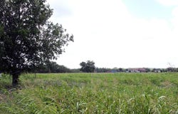 Tbd FM 86 Highway, Lockhart, TX 78644