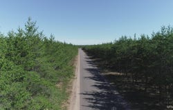Parcel 4 Rice Lake, Gwinn, MI 49841