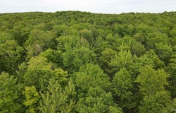 tbd Superior Shores (Little America), Atlantic Mine, MI 49905
