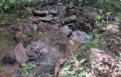 0 Greers Ferry Road, Greers Ferry, AR 72067