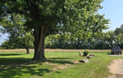 9737 Pitman Road, Ypsilanti, MI 48197