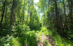 ON OLD 8 RD W, Prentice, WI 54556