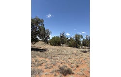 104 N  5532, Concho, AZ 85924