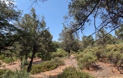 2205 E Scenic Drive, Payson, AZ 85541