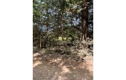 0 An County Road 2610, TENNESSEE COLONY, TX 75861