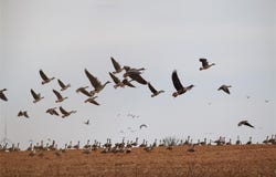 359 Acres CR 164, No City, TX 79521