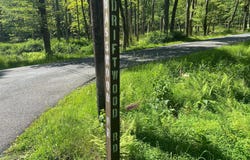 Lot 4 BASSWOOD DRIVE, SOUTH STERLING, PA 18445