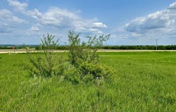 Lot 5 & 6 Oak Lane, Sisseton, SD 57262