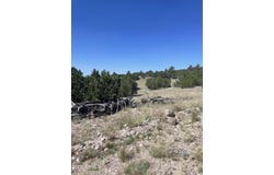 37925 W RAPTOR Road, Seligman, AZ 86337