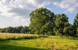 NC 1650, Harrison, AR 72601