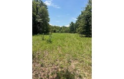 0 Gough Road, Louisville, GA 30434