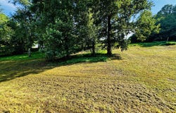 Clyde Ed Rd lot: 207, Kodak, TN 37764
