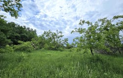 12551 Freel Highway, Millersburg, MI 49759