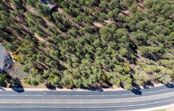 21256061A W White Mountain Boulevard, Lakeside, AZ 85929