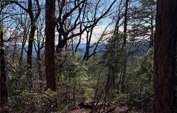 Bobcat Mountain Road lot: 27, Purlear, NC 28665