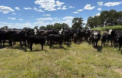 15004 County Road 20, Sanford, CO 81151