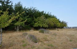 1979 Old Olympic Hwy, Port Angeles, WA 98362