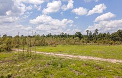 R53358 Tract 1 HWY 94, Apple Springs, TX 75926