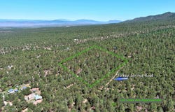 Tract Turkey Springs Road, Valdez, NM 87580