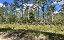 0A Selma Ave, Interlachen, FL 32148