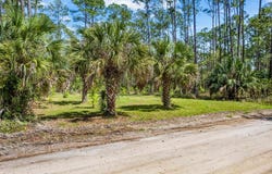 River Drive, Panacea, FL 32346