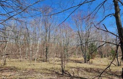 VL Wilamont Circle, Mancelona, MI 49659