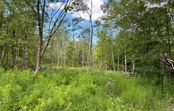 1.5 Tannery Rd, Western, NY 13486