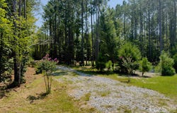 955 Cole Trestle Road, Blair, SC 29015