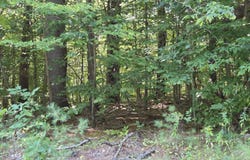 385 Swain Road, Rumford, ME 04276