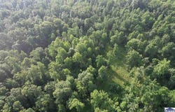 499 Steubenville Road, Coal City, IN 47427