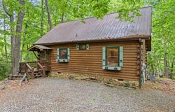 726 Cherry Lake Drive, Cherry Log, GA 30522