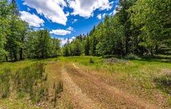 525 Sherier Road, Cave Junction, OR 97523