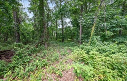 0 BEAR RUN, HARPERS FERRY, WV 25425