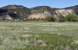 1000 Flag Creek Drive, Meeker, CO 81641