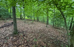 000 Laurel Heights Dr, Sutton, WV 26601